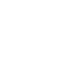 feature-icon