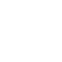 feature-icon