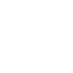 feature-icon